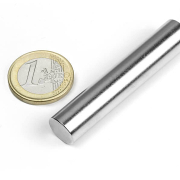 Stavmagnet 12x60 mm