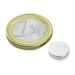 Skivmagnet 10x2 mm