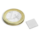 Blokmagnet 10x10x1,2 mm