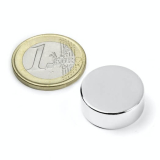 Skivemagnet 20x8 mm
