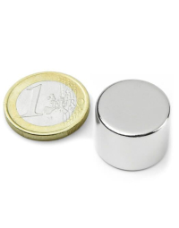 Skivmagnet 20x15 mm