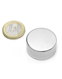 Skivmagnet 30x15 mm